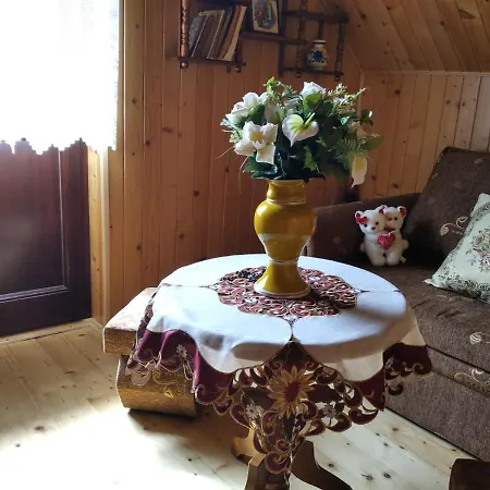 Appartement Domek Letniskowy W Zywcu